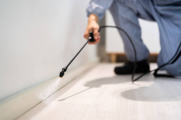 Licensed Termite Control service in Twin Lakes, VA - Nex Pest Control