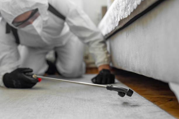 Professional Termite Control technician working in Twin Lakes, VA