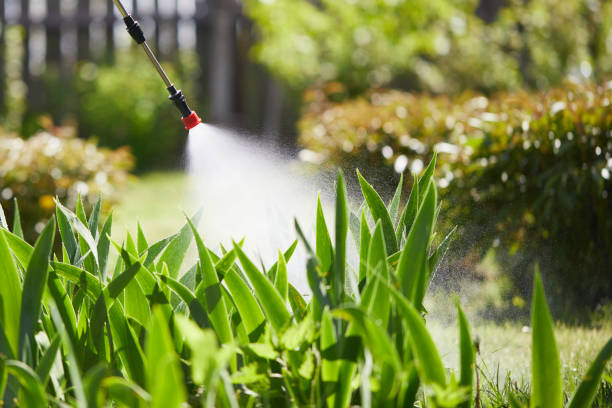 24/7 Emergency Termite Control experts in Twin Lakes, VA