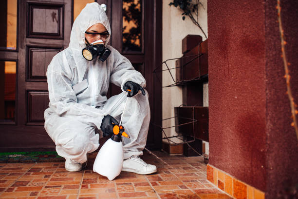 Reliable Termite Control contractor in Twin Lakes, VA by Nex Pest Control