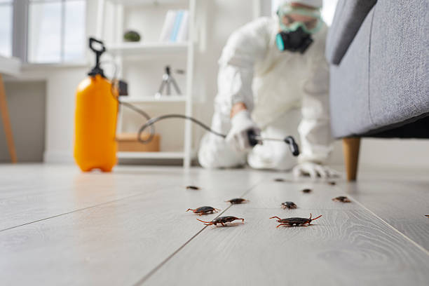 Trusted Termite Control service in Twin Lakes, VA - Nex Pest Control