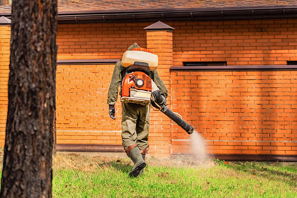 Trusted Ant Control service in Twin Lakes, VA - Nex Pest Control